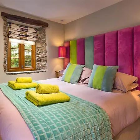 The Cosy Peacock