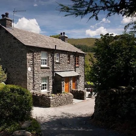 The Cosy Peacock